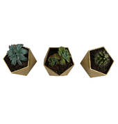 O Yeah Nah Limited Glen Eden (0602) Interior Designers 4_small