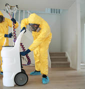 Chemcare Auckland Takapuna (0622) Flood & Water Damage Restoration 3_small