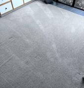 Carpet Cleaning