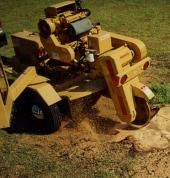 Tree Stump Grinding & Removal Auckland