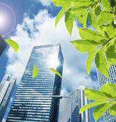 Eco Glass Insulation Tinting