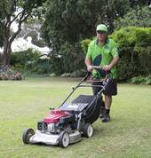 Lawn Mowing Auckland