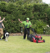 Lawn Mowing Services Auckland