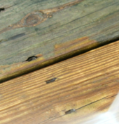 Pressure Washing