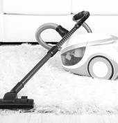 Carpet cleaner wellington