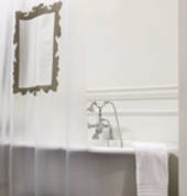 Printed plastic stock shower curtain - gilded frame