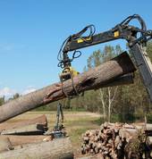 Dr Tree and Bobcat/Digger services ltd Horotiu (3288) Tree Stump Removal & Grinding 4_small