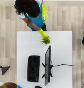 Peak Clean NZ One Tree Hill (1061) Exterior Cleaning 1_small