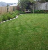 Right Cut Property Care Papamoa Beach (3118) Garden Cleanup 1_small