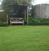 Right Cut Property Care Papamoa Beach (3118) Garden Cleanup 2_small