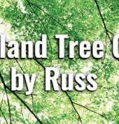 tree removal auckland