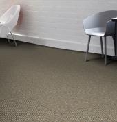 Commercial Carpet Cleaning Christchurch.