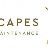 Naturescapes Logo