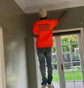 Interior Painting