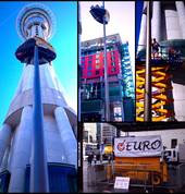 Euro Quality Painters Limited Glen Innes (1072) Painters 4_small