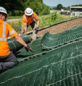 Hydroseeding Auckland
