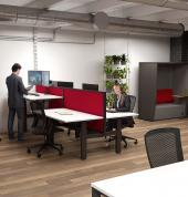 Agile Shared Desk Pod