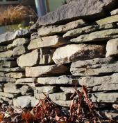 Retaining Walls Tauranga