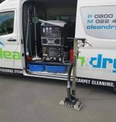 Professional Carpet Cleaning