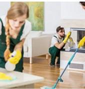 Total Property Maintenance Albany (0632) Handyman & Property Maintenance Services 1_small