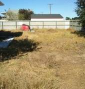 Before - site clearing