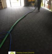 Steam Carpet Cleaning Christchurch