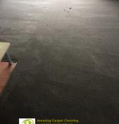 Professional Carpet Cleaning