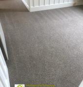 Carpet Cleaning Christchurch
